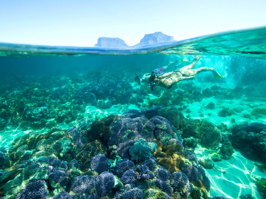 Australia’s best snorkelling spots