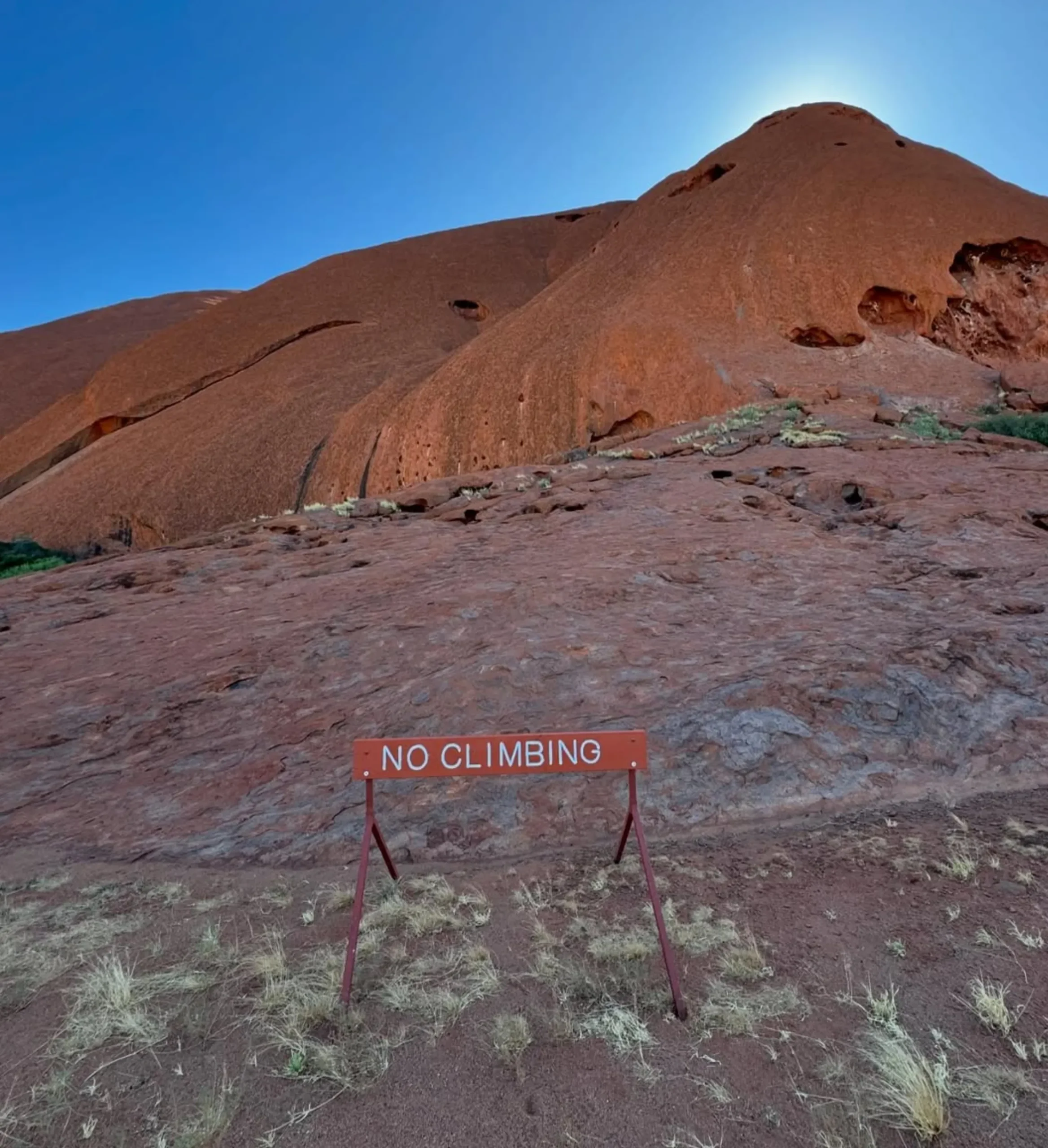 desert skink, Uluru